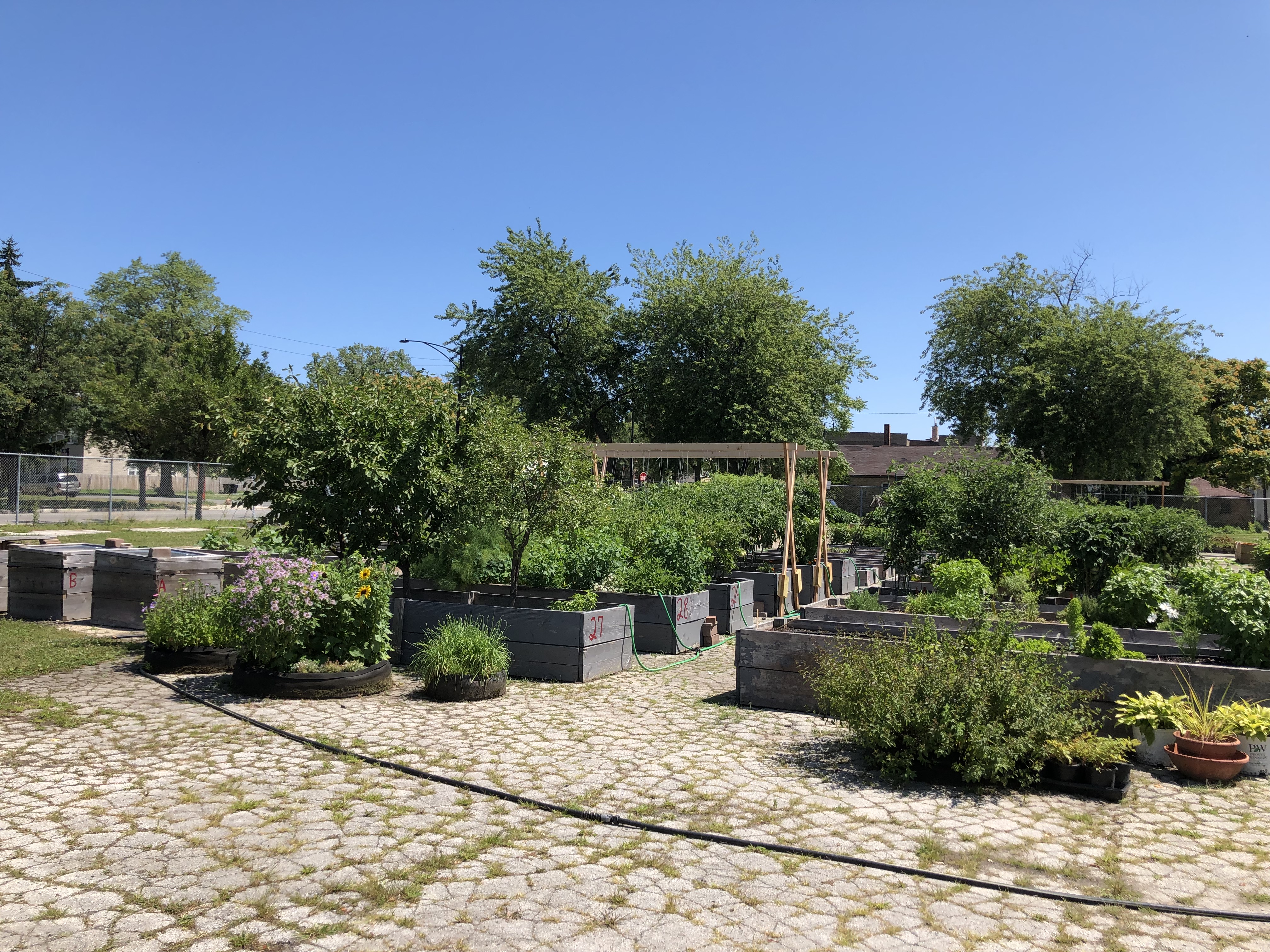  The vegetable garden at the PBMR